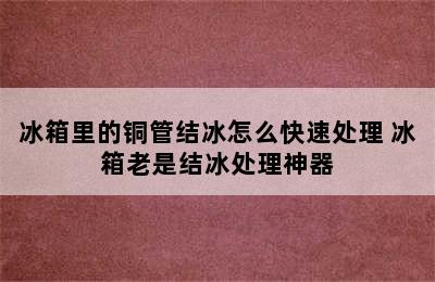 冰箱里的铜管结冰怎么快速处理 冰箱老是结冰处理神器